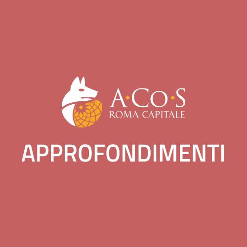 Beni comuni, Roma attende il suo regolamento