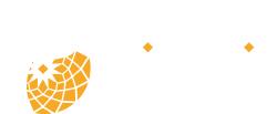 Agenzia per il controllo e la qualitÃ  dei servizi pubblici locali di Roma Capitale